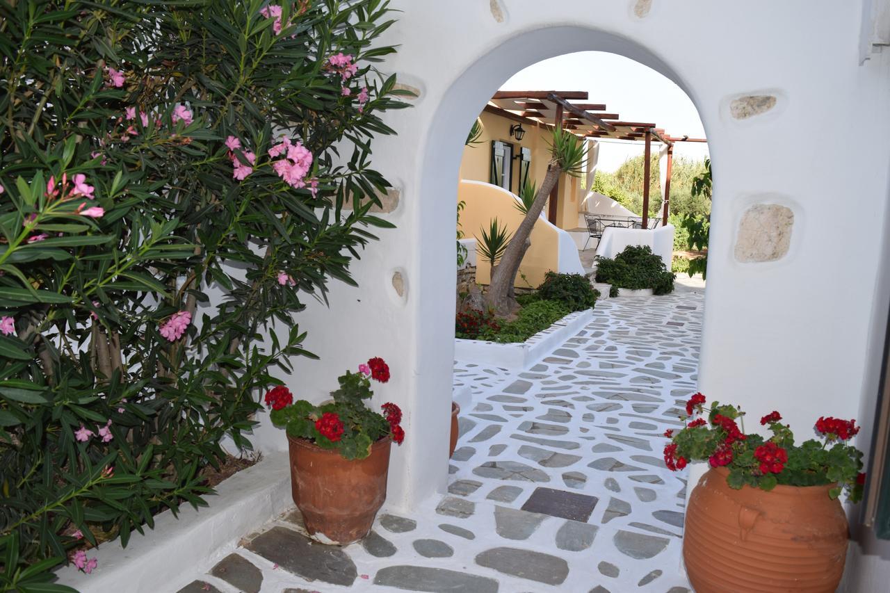 Tzane & - Steps Away From Golden * Chrisi Akti (Paros)